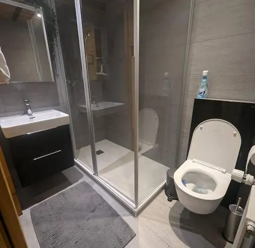 公寓 Le Chamois - 维松纳